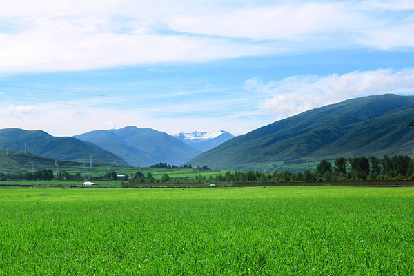 重慶去拉薩旅游